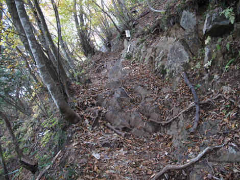 20171102hike (181)